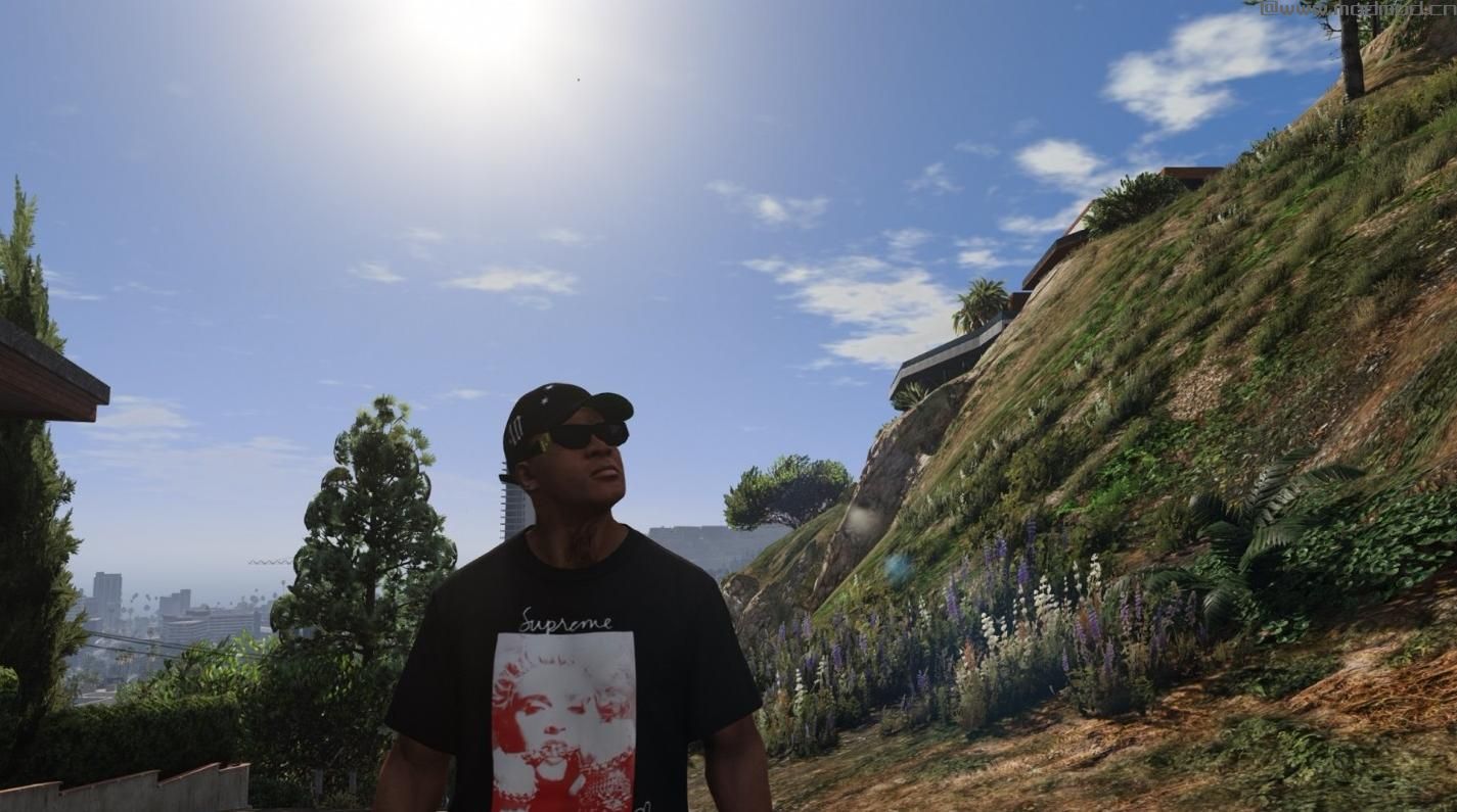 侠盗猎车手5MOD Supreme Madonna Tee 2018