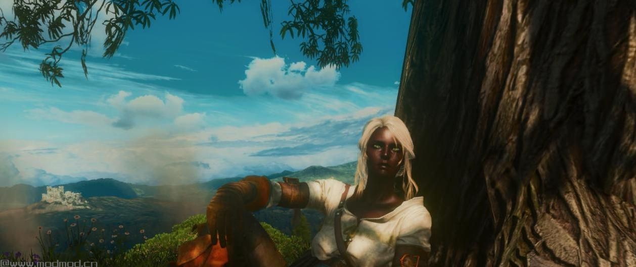 巫师3：狂猎MOD Netflix Ciri