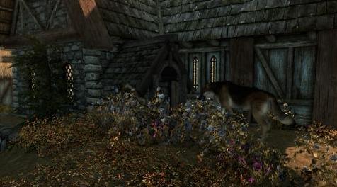 上古卷轴5：重置版MOD Meeko在Whiterun。 只是另一个毫无意义的mod。