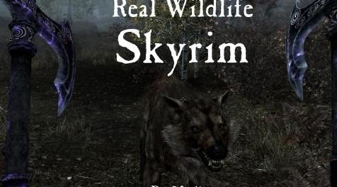 上古卷轴5：重置版MOD 真正的野生动物-Skyrim SE