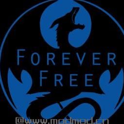 上古卷轴5：重置版MOD Auriel SSE护身符