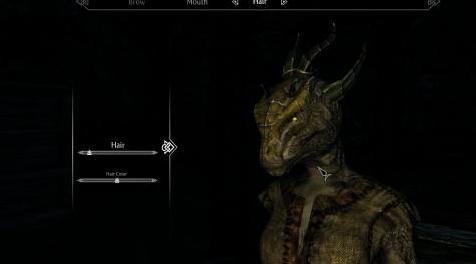 上古卷轴5：重置版MOD Argonian Dragon Horn Hair Replacer（WIP）