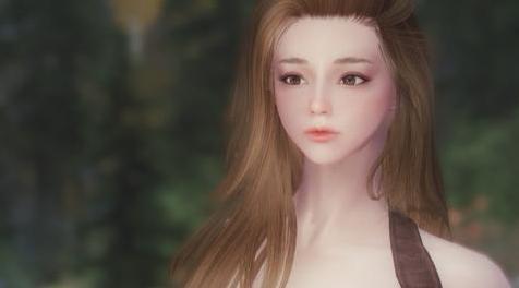 上古卷轴5：天际MOD .汉化分流..大美女随从.艾琳..Custom Voice Follower_Erin v1.0