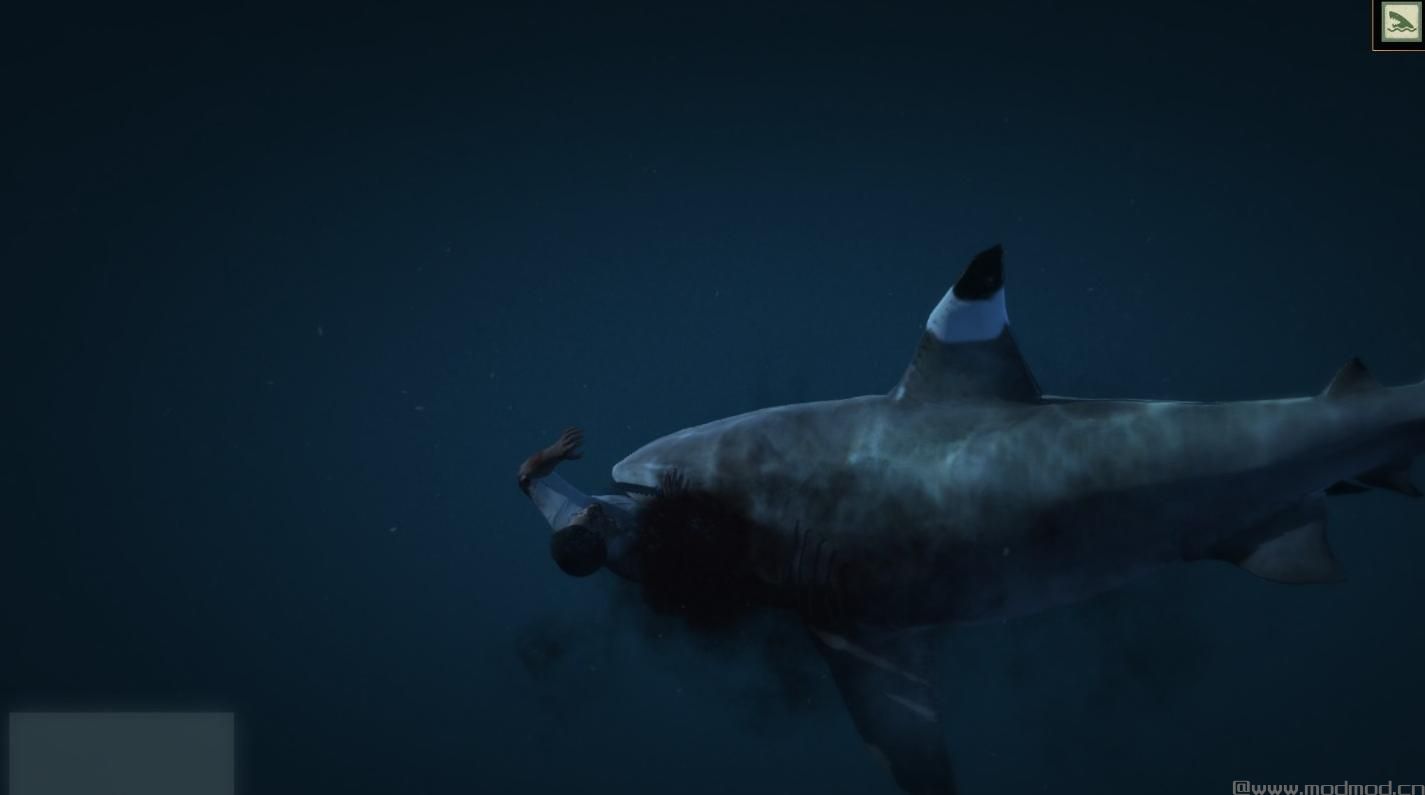 侠盗猎车手5MOD Blackfin Shark conversion for Tiger Shark