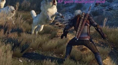 巫师3：狂猎MOD XP收益倍数