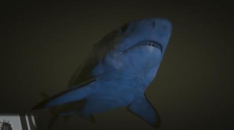 侠盗猎车手5MOD Blackfin Shark conversion for Tiger Shark
