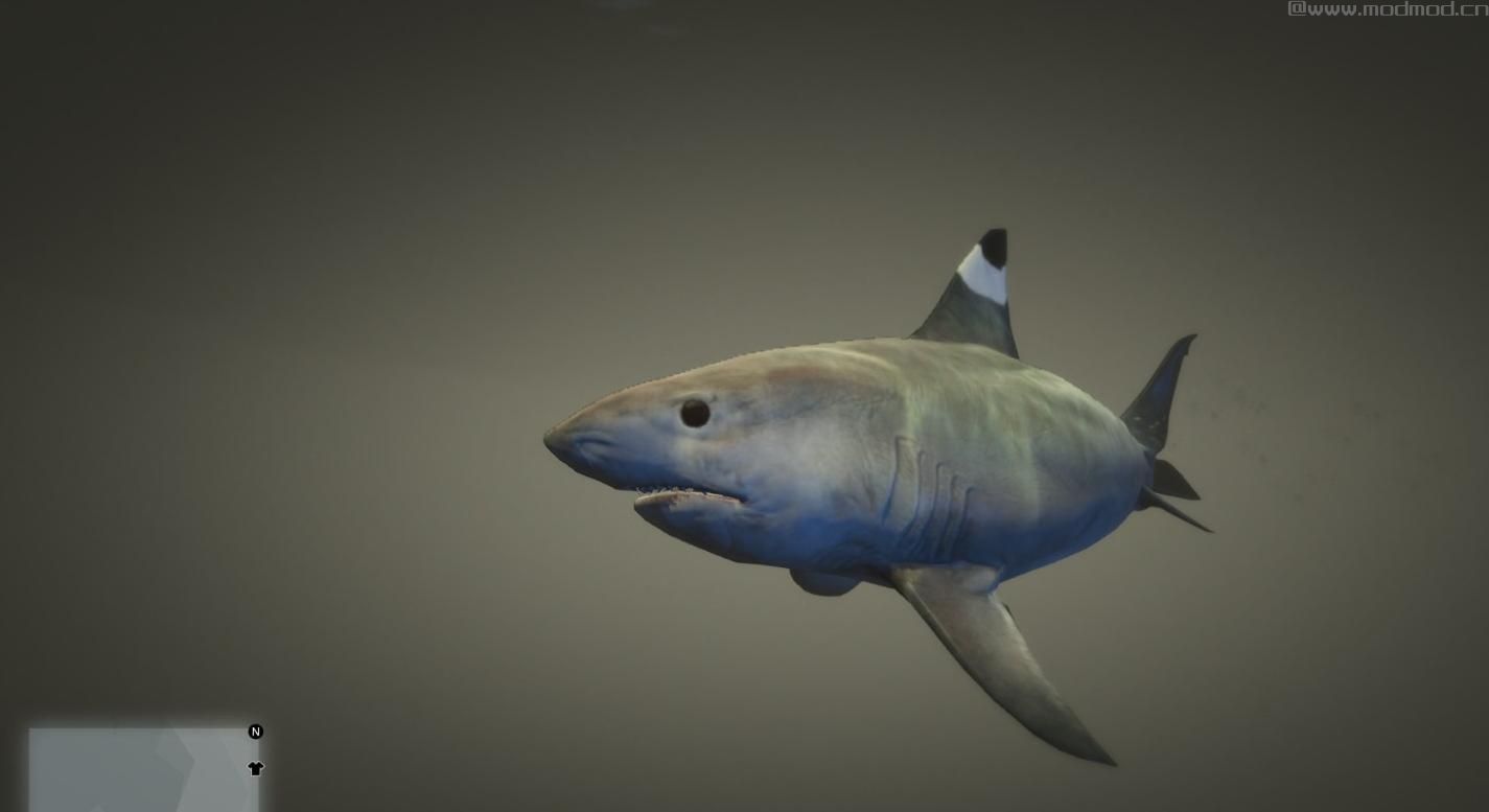 侠盗猎车手5MOD Blackfin Shark conversion for Tiger Shark