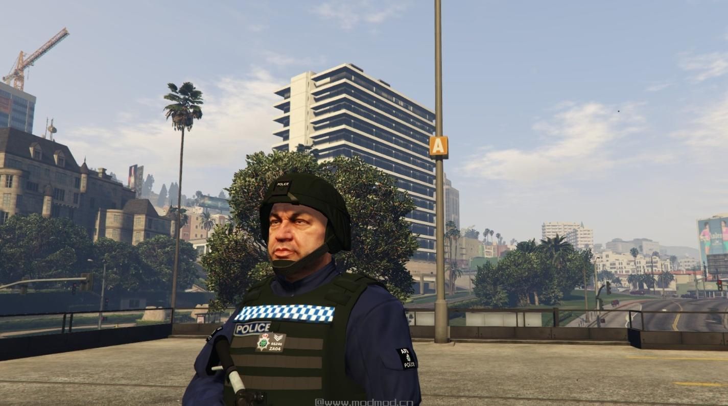 侠盗猎车手5MOD British Police officer, (AFO)