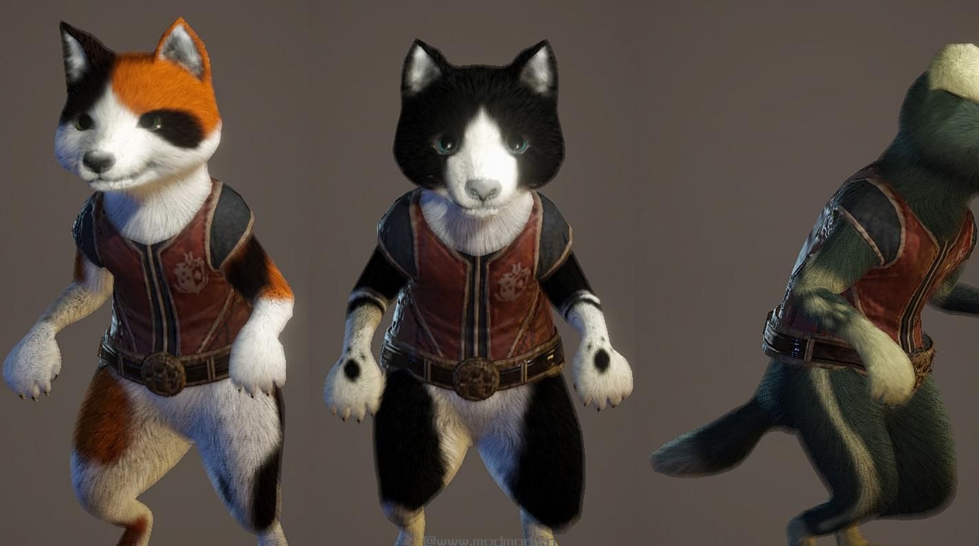 Canine Palico