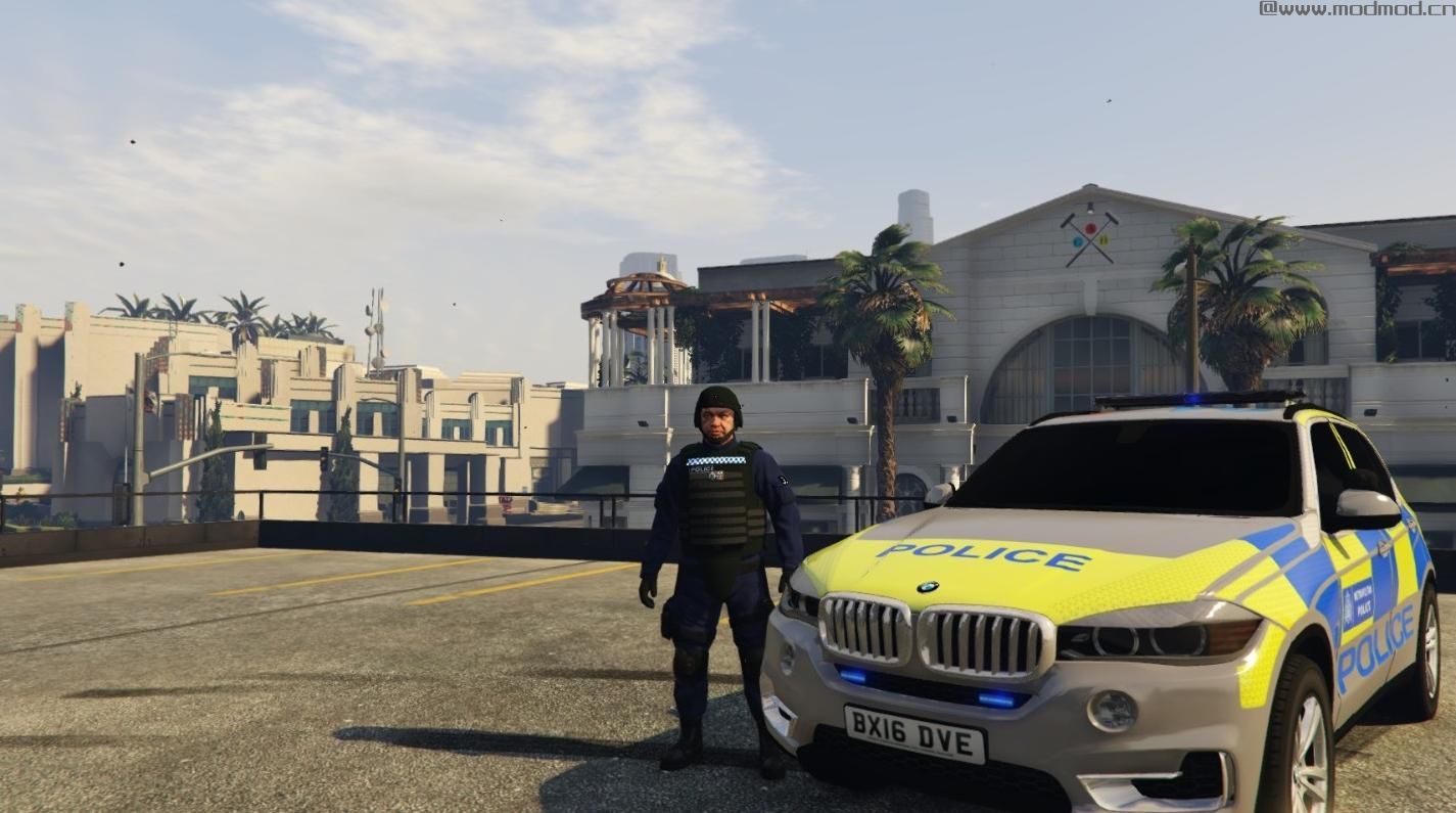 侠盗猎车手5MOD British Police officer, (AFO)