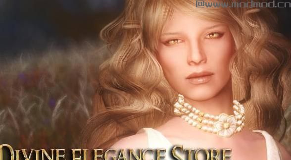上古卷轴5：天际MOD 汉化   Apachii Divine Elegance Store，阿帕奇的神圣与优雅商店，1.3