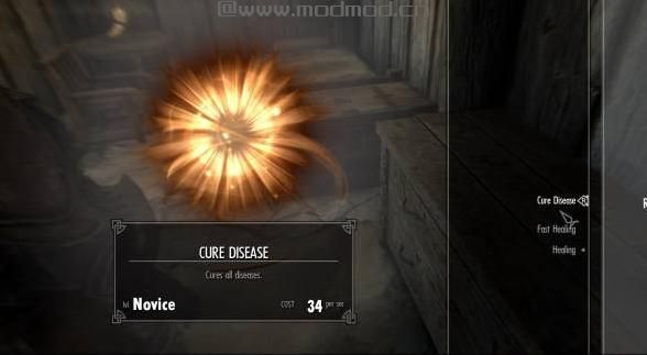 上古卷轴5：天际MOD 治愈疾病法术&所有书籍均涨技能-Cure Disease Spell&All Books have Perks