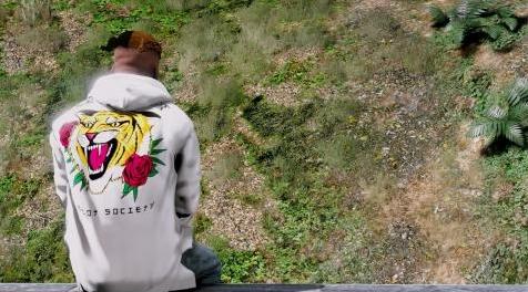 侠盗猎车手5MOD Riot Society Tiger Hoodie [TEXTURE] [HD]