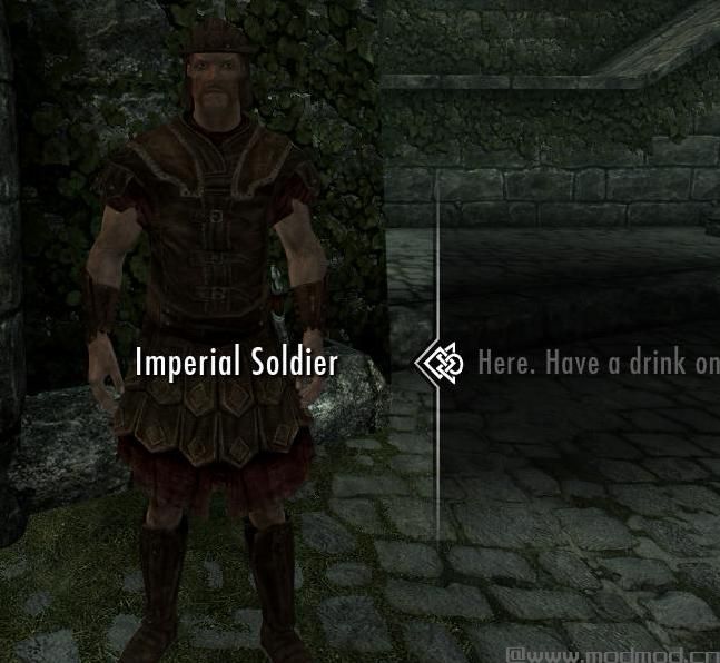 上古卷轴5：重置版MOD 警卫对话大修(GDO)SSE