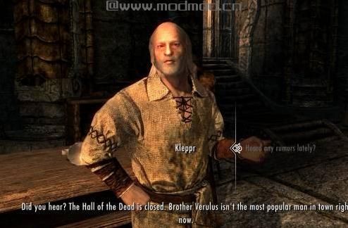 上古卷轴5：天际MOD The Choice is Yours V2.0 你的选择