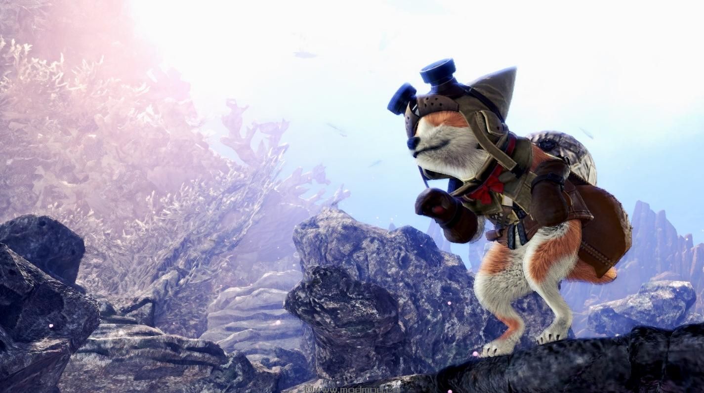 Canine Palico