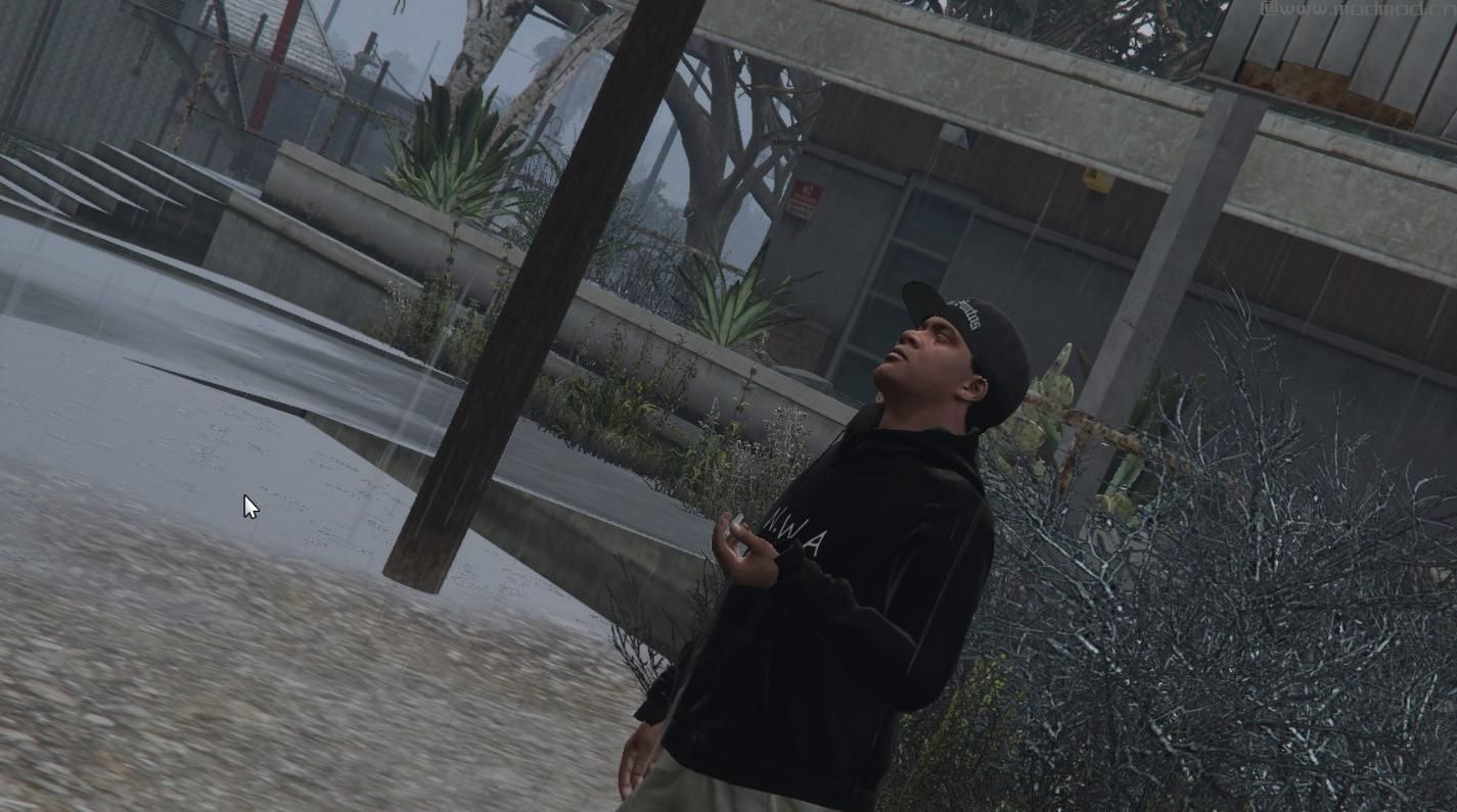 侠盗猎车手5MOD N.W.A Hoodie for Franklin