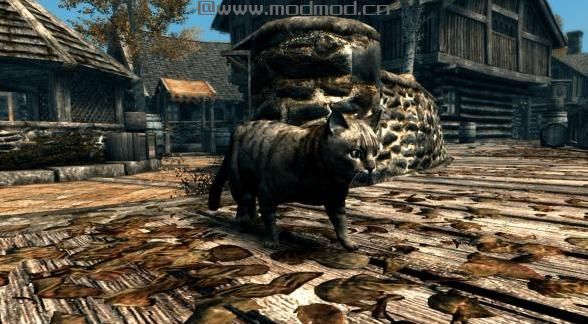 上古卷轴5：天际MOD 可爱喵咪MOD