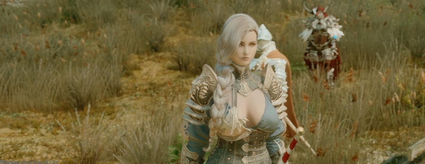 上古卷轴5：天际MOD 【猴子牌sg皮肤】【私货美化分享】原超级sg材质美化