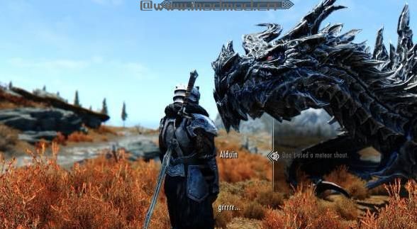 上古卷轴5：天际MOD N网一个奥杜因随从mod