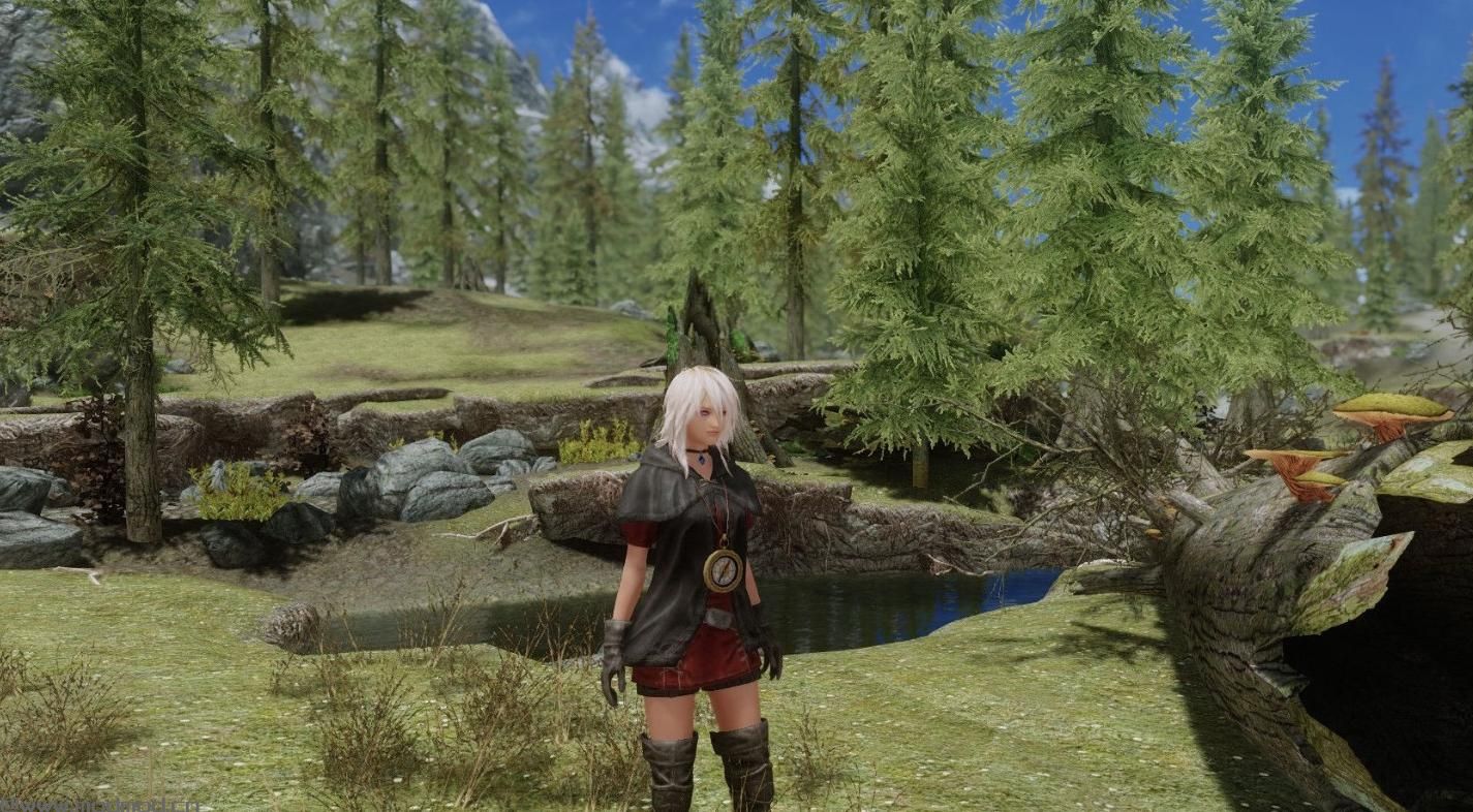 上古卷轴5：天际MOD 塞尔达无双：传奇林克尔套装及饰物-Linkle Outfit for Skyrim