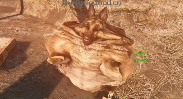 辐射4MOD 更好的狗肉材質 （必備mod）