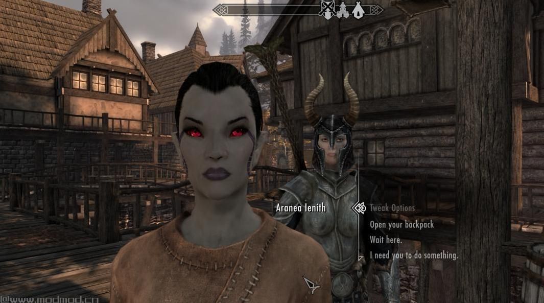 上古卷轴5：重置版MOD 漂亮的Aranea Ienith