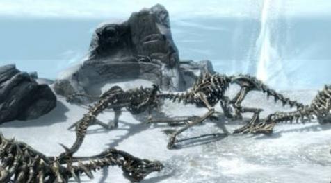 上古卷轴5:天际MOD 帕图纳克斯的窘境(The Paarthurnax Dilemma)V1.2.9汉化-ANK名词