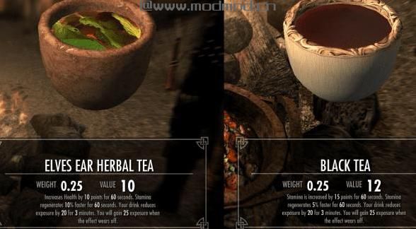 上古卷轴5：天际MOD 天际茶饮MOD