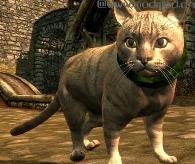 上古卷轴5：重置版MOD 猫的王国MOD