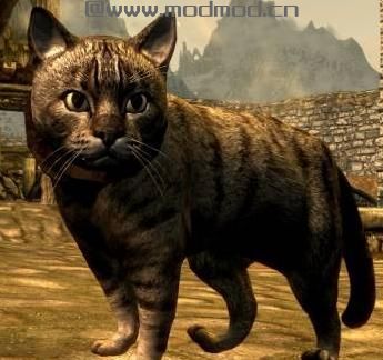 上古卷轴5：重置版MOD 猫的王国MOD