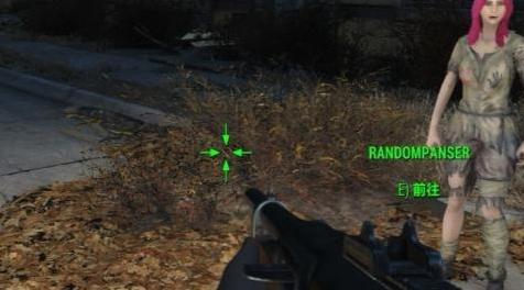 辐射4MOD 汉化  RandomPanser - Fully voiced Companion with Landscape