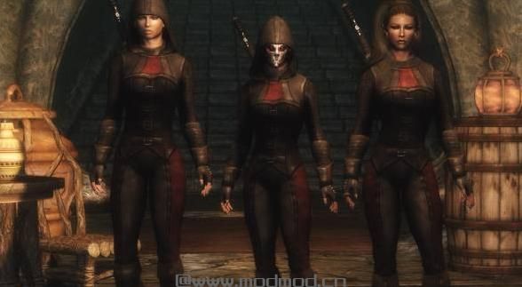 上古卷轴5：天际MOD 完美刺客套装A Perfect Assasin
