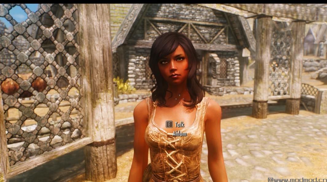 上古卷轴5：重置版MOD Botox for Skyrim
