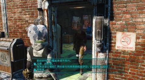 辐射4MOD 废土姐妹Leyla 和 Sydney
