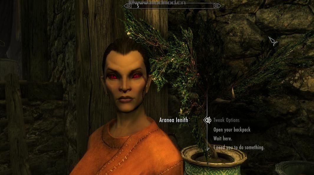 上古卷轴5：重置版MOD 漂亮的Aranea Ienith