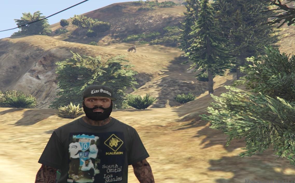 kausion south central los skanless t-shirt