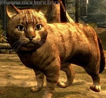 上古卷轴5：重置版MOD 猫的王国MOD