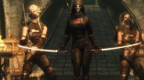 上古卷轴5：天际MOD 完美刺客套装A Perfect Assasin