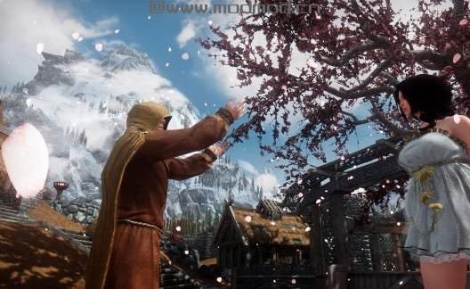 上古卷轴5：天际MOD  2.22更新V2.6：给大家介绍一个很有意思的模组：粒子领域