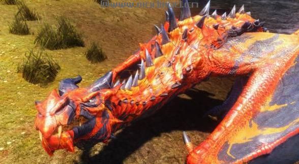 N网半龙人mod Faallokaar--dragon and human follower by Bifteki