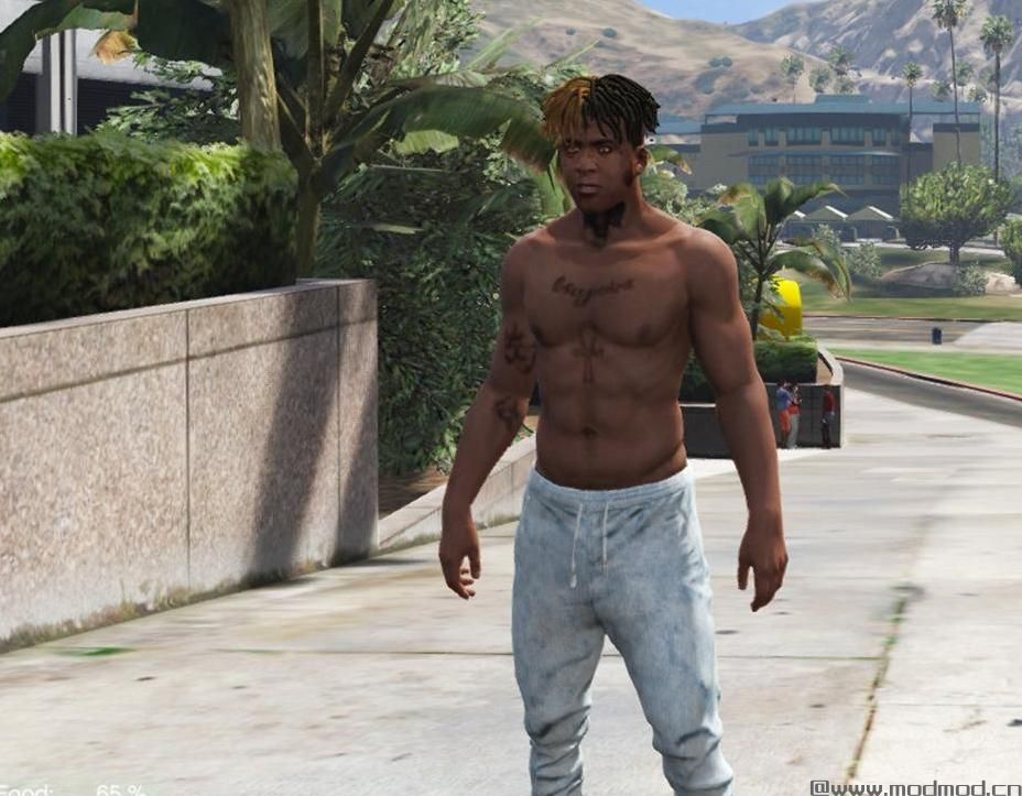 侠盗猎车手5「GTA5」Mod: Edited Head Model For Frank