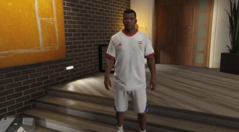 侠盗猎车手5「GTA5」Mod: Iran 2018 (world cup)