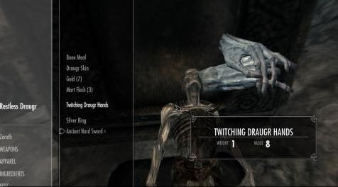 上古卷轴5：重置版MOD 肉和酒SSE - 归功于Zaroth_0