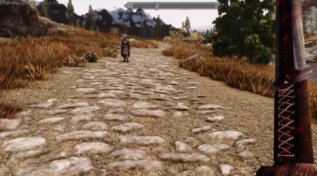 上古卷轴5：重置版MOD 2K血刀和斑纹