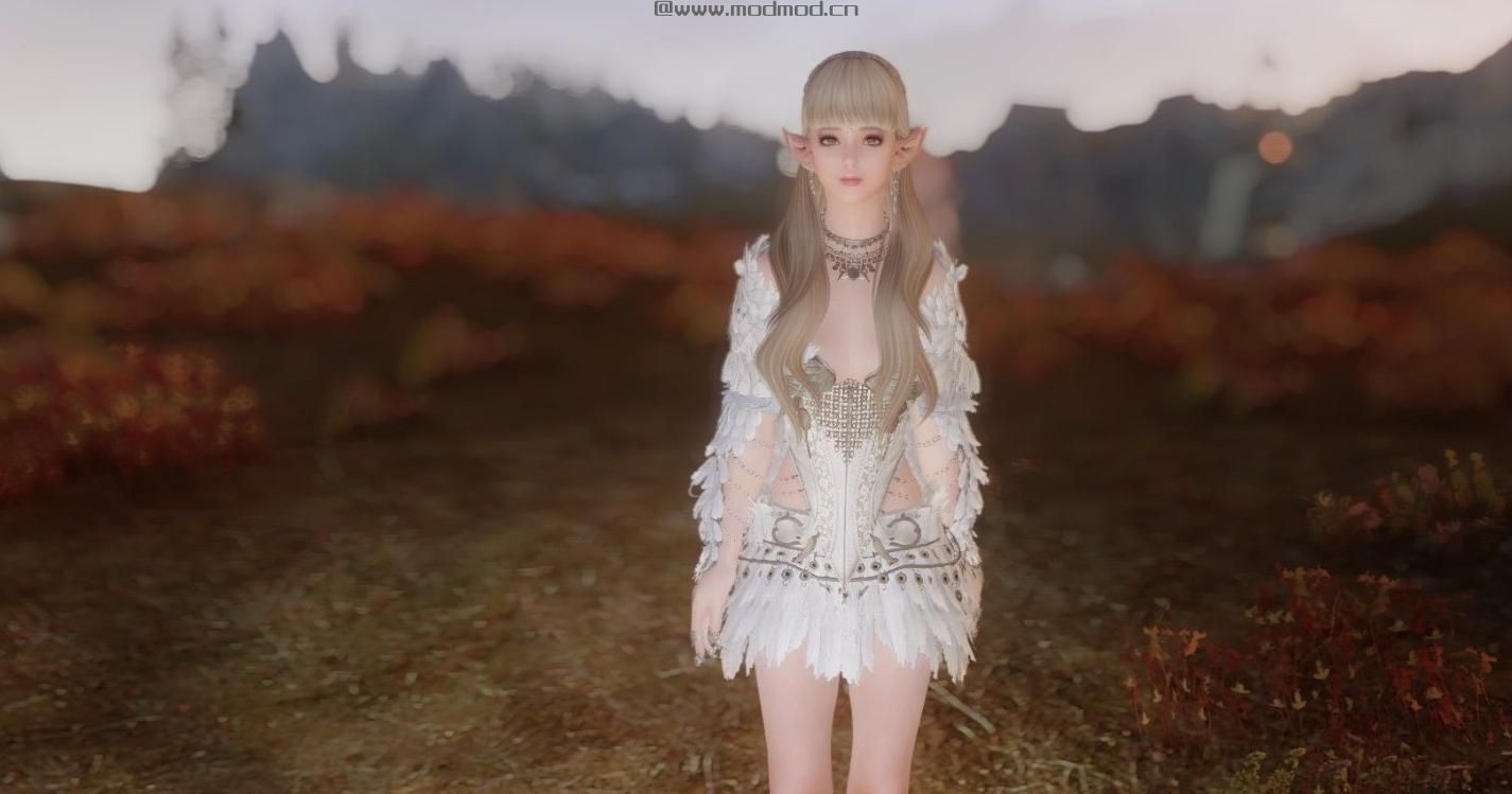 上古卷轴5：天际MOD 某黑沙衣服自改版。