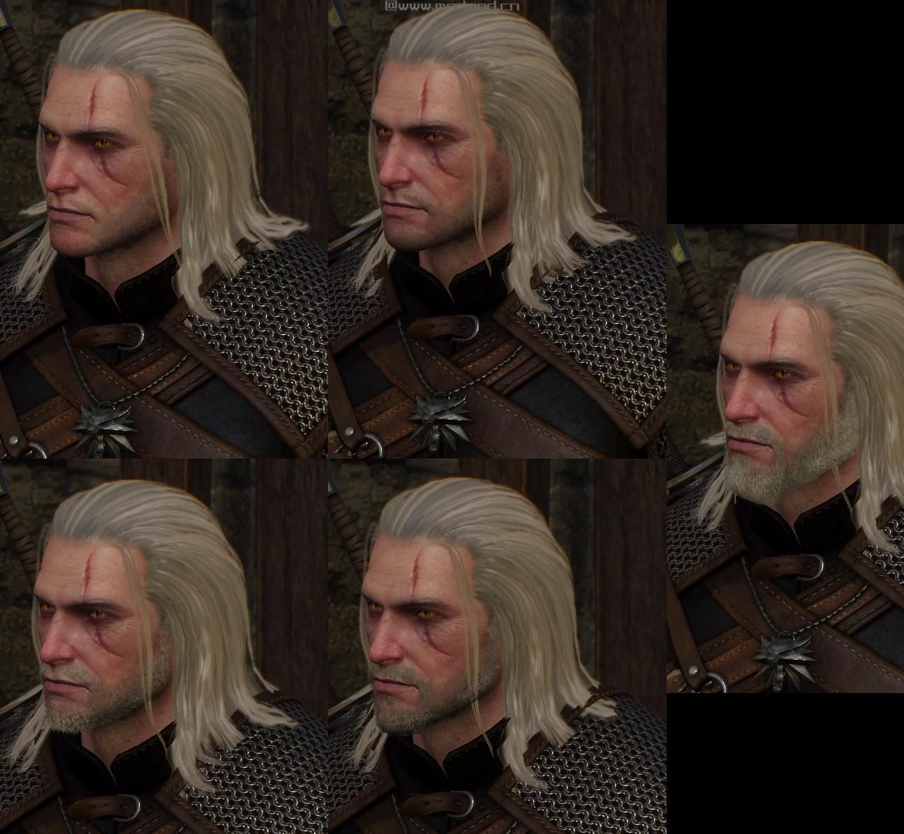巫师3：狂猎MOD 更新——Geralt重新处理——NRAI 0.2