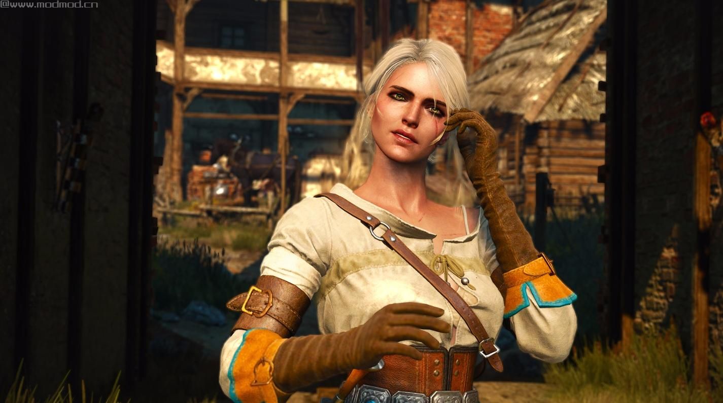 巫师3：狂猎MOD NVIDIA Ansel实用修改