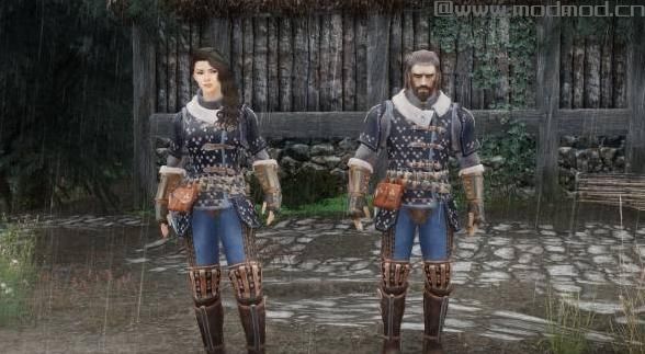 上古卷轴5：天际MOD 精制大师猫套装-Mastercrafted Cat Armour - new texture