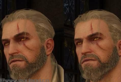 巫师3：狂猎MOD 只是苍白的Geralt